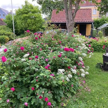 Den Gamle Skomager Ved Slotssoen Grasten