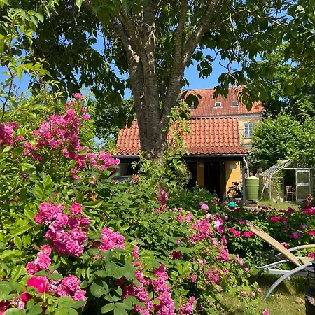 Den Gamle Skomager Ved Slotssoen Holiday home