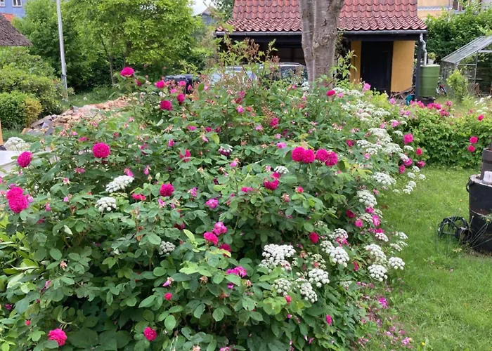 Den Gamle Skomager Ved Slotssoen Gråsten